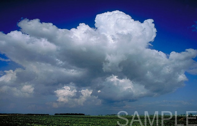夏雲の大地／Summer-cloud landscape